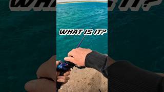 What is it Saltwater Fishing with kastking Royal Legend Pro bassfishing [upl. by Ert735]