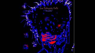 Low Embryonic Cells  Intolerance [upl. by Divd669]