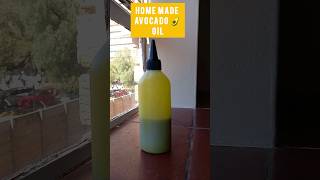 fast and easy home made avocado oil subscribe youtubeshorts avocado [upl. by Eittam725]