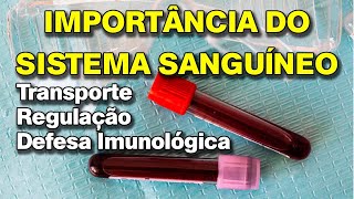 Os componentes e as características do sangue [upl. by Akemak]