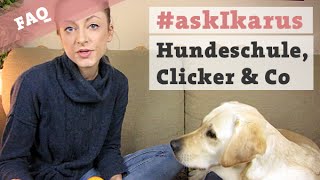 Hundeschule Clickertraining Uploadzeiten – Hundekanal askIkarus [upl. by Dincolo]