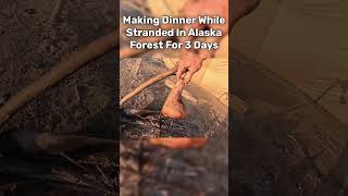 Cooking Dinner While Camping For 3 Days In Alaska Forest [upl. by Lehcnom]