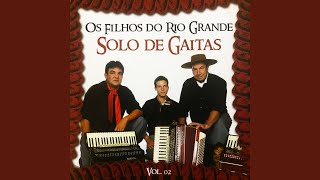 Gaita Preta No Fandango Instrumental [upl. by Fax465]