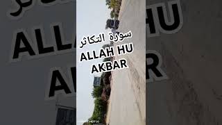 Surah Al takasur  Arabic with translation  English translation  Quran  Tilawah with translation [upl. by Cecelia143]