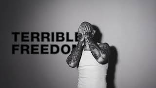 Noah Gundersen  Terrible Freedom Official Audio [upl. by Acinyt]