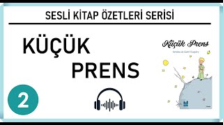 Küçük Prens Kitap Özeti  Sesli Kitap Özetleri Serisi 2 [upl. by Ardnnek989]