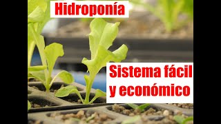 Como hacer HIDROPONIA CASERA Sistema fácil y económico [upl. by Yuht]