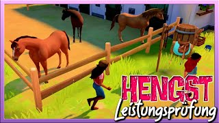 die LEISTUNGSPRÜFUNG der HENGSTE 🐴📋 Horse Club Adventures 2 Hazelwood Stories ✅ Nintendo Switch [upl. by Adehsor49]