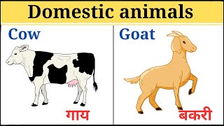 Domestic animals name with pictures domestic animals name in english and hindi [upl. by Nodnas]