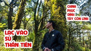 Hành Trình Khám Phá Đỉnh Cao Chinh Phục Ngọn Núi Cao Nhất Đông Bắc ✧ Suối Bản TV [upl. by Moises]