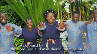 Harusi By Zionic International Ministers Official Video [upl. by Hathaway600]