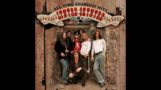 Simple Man LYNYRD SKYNYRD Live [upl. by Fay]