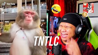 1 LAUGH  1 NATTO KACANG BASI🥡  Try Not To LAUGH amp SMILE Challenge 11 [upl. by Zinnes624]