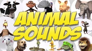 Learn Animal Sounds [upl. by Jerol946]