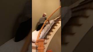 The CRAZIEST Sliding Down Stairs Fail EVER Recorded funny [upl. by Purington933]