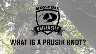 What Is A Prusik Knot  Tree Stand Safety Tips [upl. by Ahsinik693]