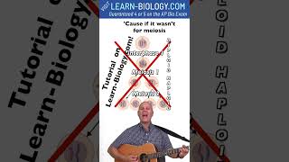 If it wasnt for Meiosis From Mr Ws Meiosis Song [upl. by Koffler]