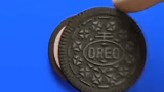 Oreo Chocolate Flavor Effects Sponsored By Preview 2 Effects [upl. by Yffat]