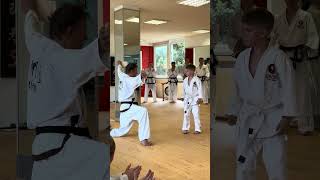 Breaking Power Technik Training BlackBelt Jungdo Selbstverteidigung traditional motivation [upl. by Kahaleel538]