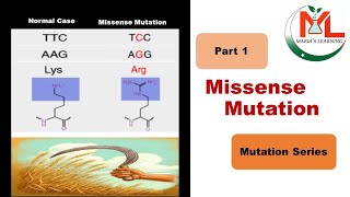 Missense Mutation NonSynonymous Mutation Its types and examples [upl. by Annot]