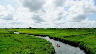 Speuren naar bijzondere planten vanaf het water [upl. by Carlstrom247]