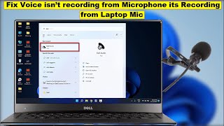 How To Fix Microphone Not Plugged in Windows 11 Tutorial [upl. by Licastro]