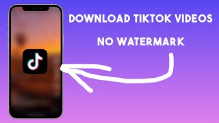 How to Download TikTok Videos Without Watermark for FREE No Apps Needed [upl. by Amorete883]