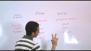 Introduction to Biochemistry p1start [upl. by Acinet]