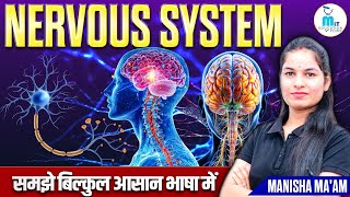 Nervous system in hindi  Neuron Types  Sensory amp motor neuron  Structure and function [upl. by Atinna]