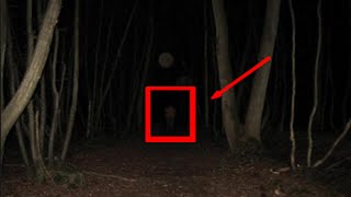 Exploring The Haunted Forest AT NIGHT GONE WRONG [upl. by Sherrill]