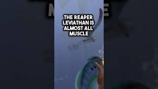 The Secrets Behind The Roar Of The Reaper Leviathan [upl. by Oreste]