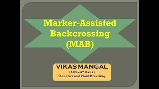 Marker Assisted Backcrossing MABB  By Vikas Mangal [upl. by Brownson904]