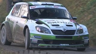 Rallye international du Valais 2013 won by Esapekka Lappi  Janne Ferm Skoda Fabia S2000 [upl. by Carrie]