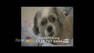 ASPCA TV Commercial For If Animals Could Speak [upl. by Aihseken]