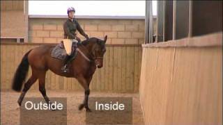 Flatwork Training for Showjumping [upl. by Eitteb]