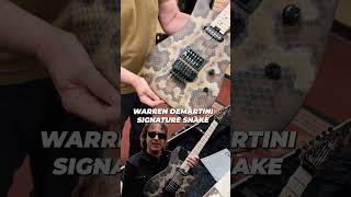 Charvel Custom Shop USA Warren DeMartini Signature Snake SH Floyd Rose Maple Neck Snakeskin Graphic [upl. by Puri397]