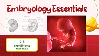 “EMBRYOLOGY 101 Essential Terms You Need to Know’’ [upl. by Barney764]