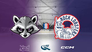 Trash Pandas v Rock Lobsters  Div 8  13th October  iceHQ Rec League ice hockey [upl. by Nwotna]