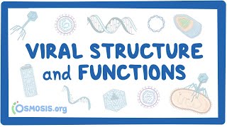 Viral Structure and Functions [upl. by Assecnirp249]