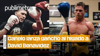 Canelo lanza GANCHO AL HÍGADO a Benavidez “Siempre anda de hablador” 🥊 [upl. by Yekcaj]