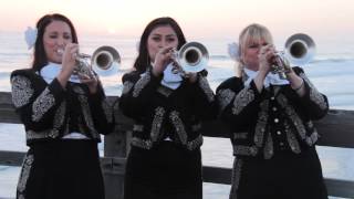 quotROSARITOquot Grammy Award Winning Mariachi Divas de Cindy Shea [upl. by Harbot]