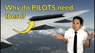 What are SPEEDBRAKESFLIGHT CONTROL SPOILERS Explained by CAPTAIN JOE [upl. by Leanna]