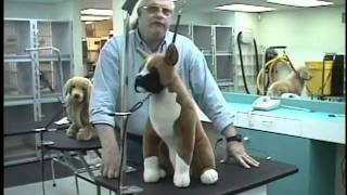 Groomers Helper Training Video [upl. by Dupre]