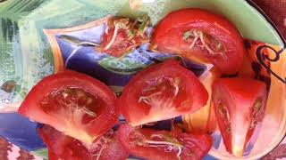 GMO TOMATOES AUSTRALIA SELF SPOUTING INSIDE GERMINATION VIVIPARY ПОМИДОРЫ ПРОРОСЛИ ГМО АВСТРАЛИЯ [upl. by Freeborn]