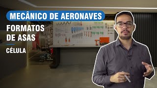 FORMATOS DE ASAS  CURSO DE MECÂNICO DE AERONAVES CÉLULA [upl. by Osnofledi]