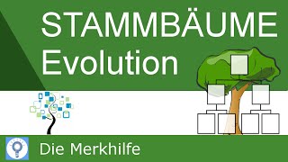 Stammbäume erstellen amp verstehen  Prinzipien der Stammbaumentwicklung  Evolution 22 [upl. by Edalb]