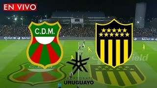 DEPORTIVO MALDONADO VS PEÑAROL EN VIVO [upl. by Lrigybab958]