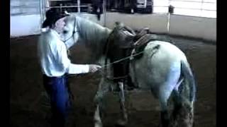 Dennis Reis Universal Horsemanship TV 7813  391 [upl. by Eenot191]