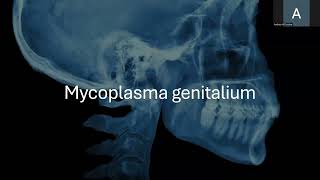 Mycoplasma genitalium y Haemphilus ducreyi [upl. by Alli]