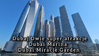 Dubaj Dwie super atrakcje Dubai Marina i Dubai Miracle Garden Szysz Travel Dubaj atrakcje [upl. by Durman]